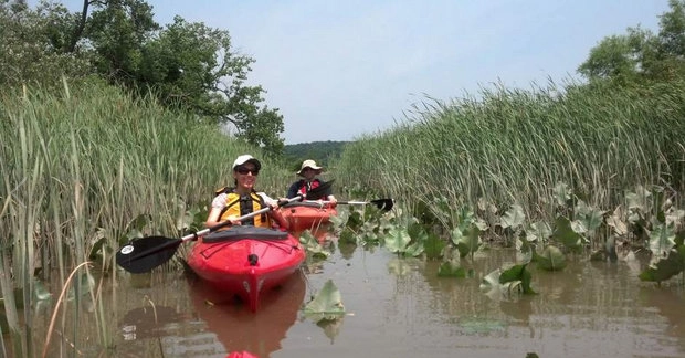 Kayakers from TribLive copy.webp
